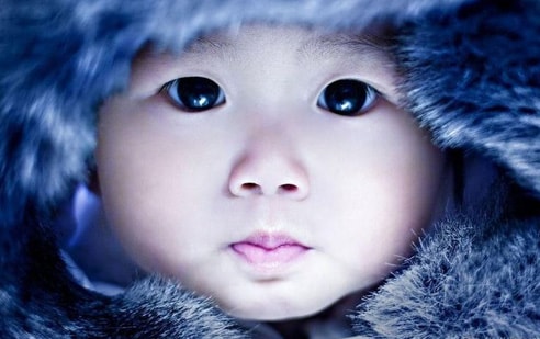 Boy Names 2014 • Freddie 